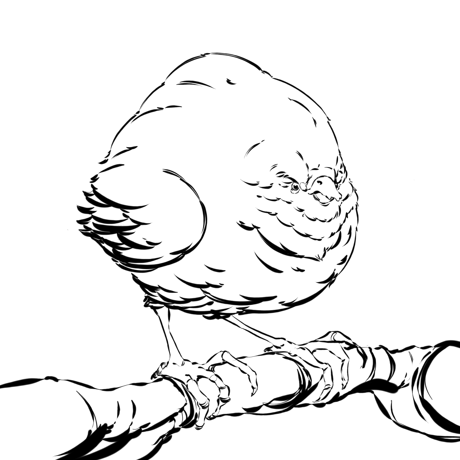 011.png