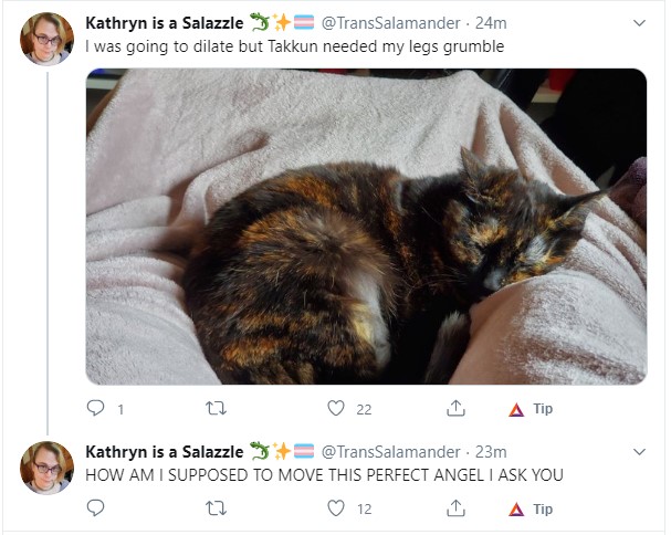0805kevviegirlproblems.jpg