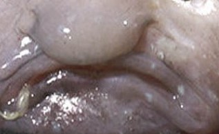 09_13_2013_blobfish-e1379079669470.jpg