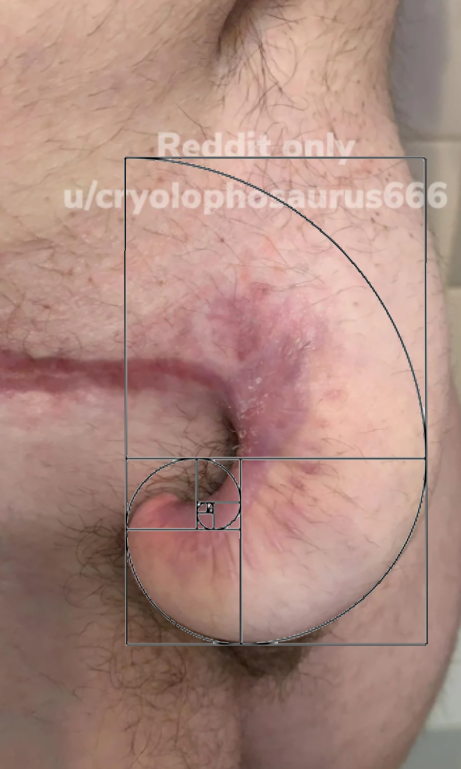 1 copy.png