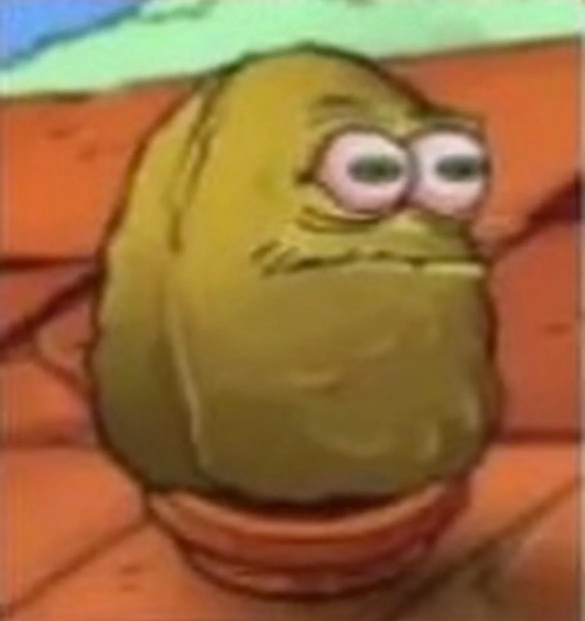 1000002218.png