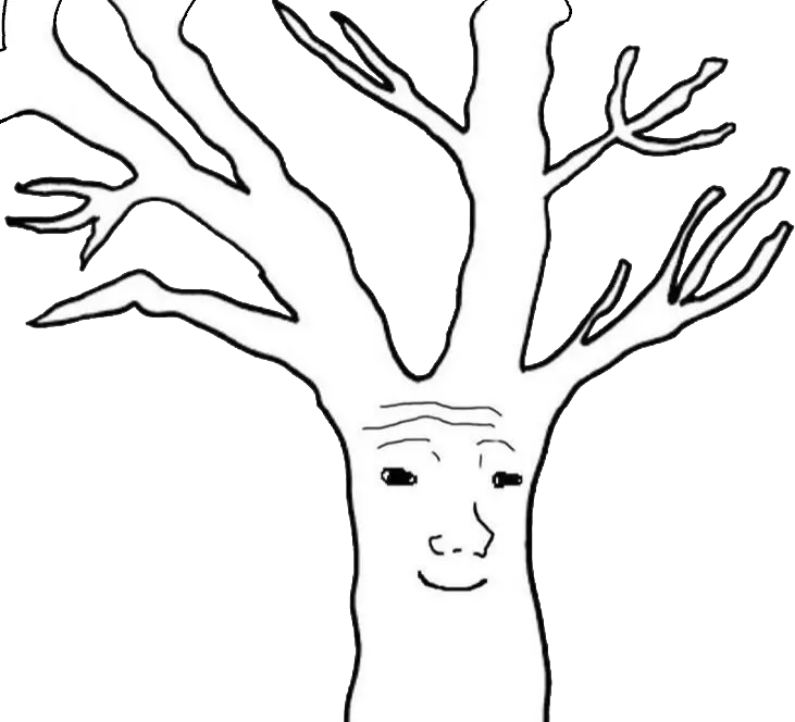 1000061477.webp
