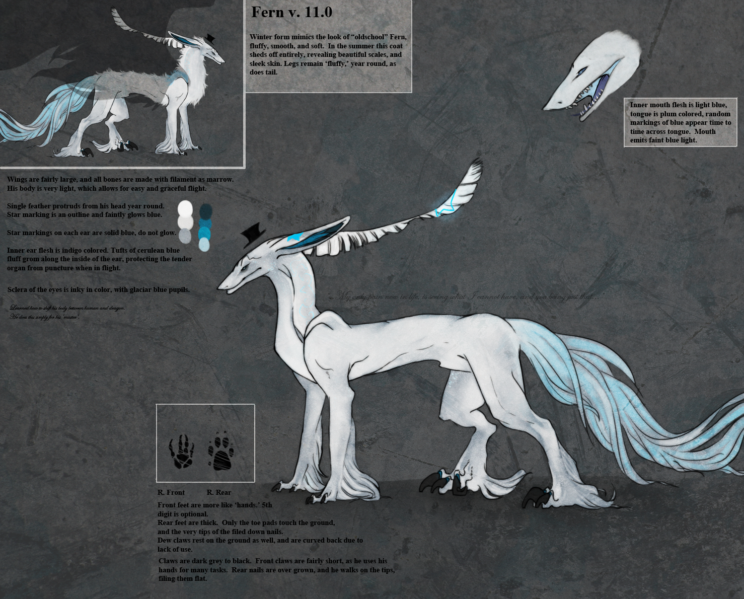 1262155392.adiago_fern_ref copy.png