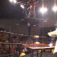 128456.gif