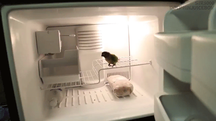 1405477313440.gif