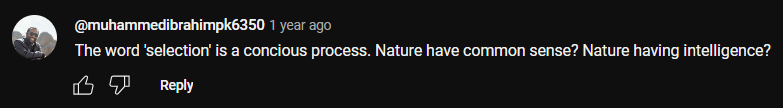 15.png