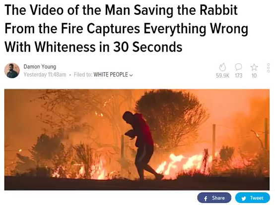1513113324528.png
