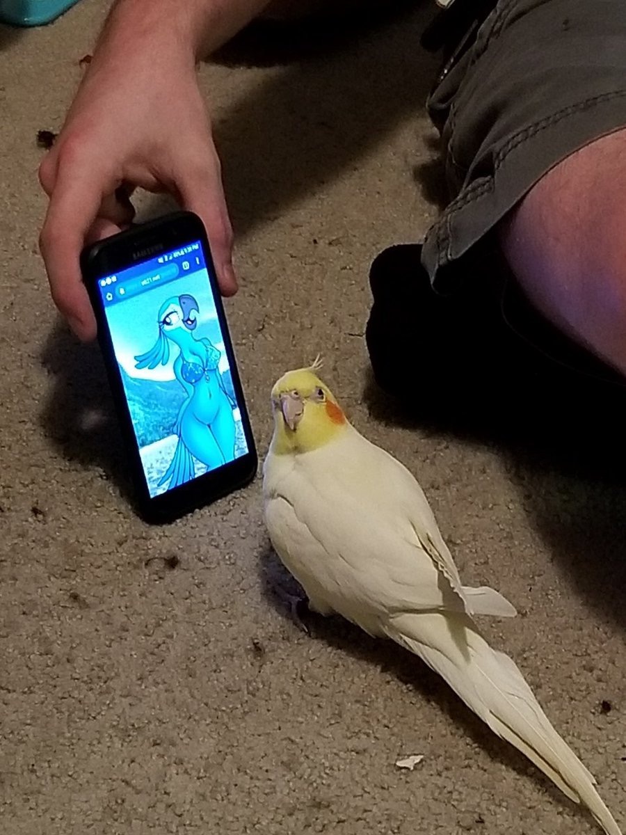 1532936268398.jpg