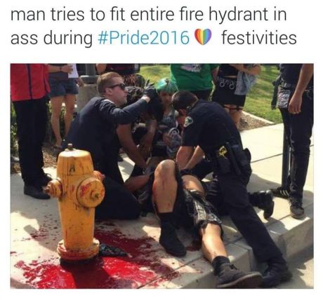 1535416516031.jpg