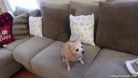 1543864493776377.gif