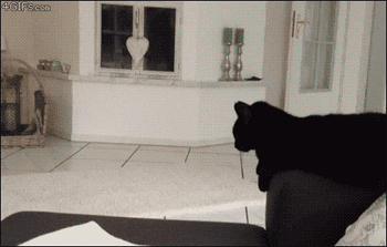 1546101609353.gif