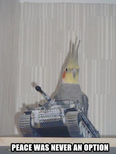 700983