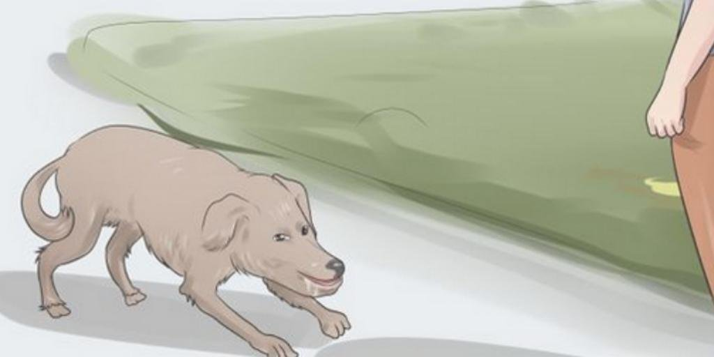 1569051939675.png