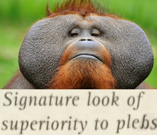 1576681857673.jpg