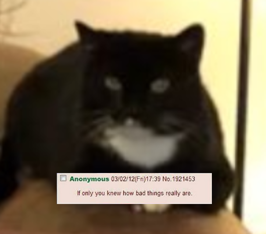1585447901150 - Copy.png
