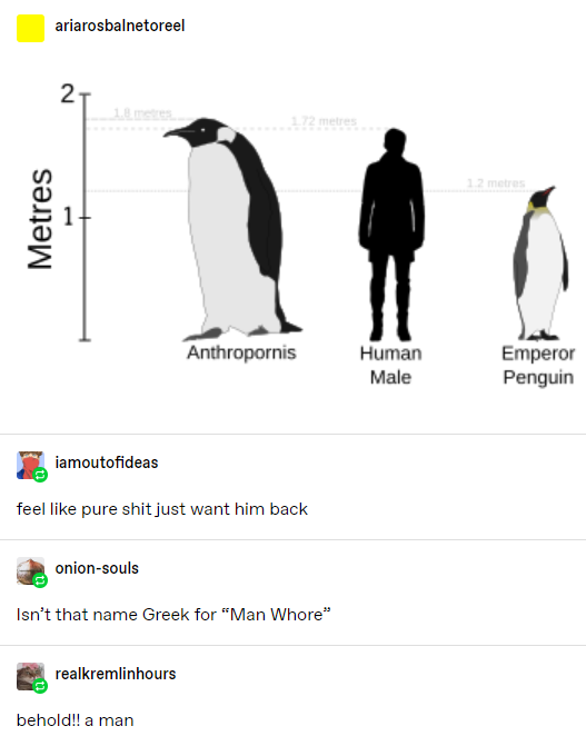 1588301394190.png