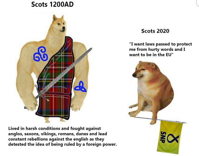 1590244693516.png