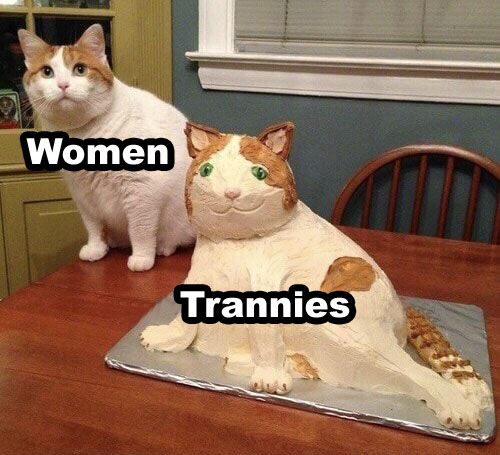 1592264359674.jpg