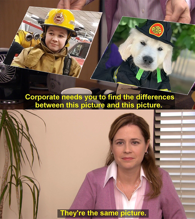 1598679486999.png