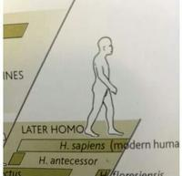 1599571647022.png