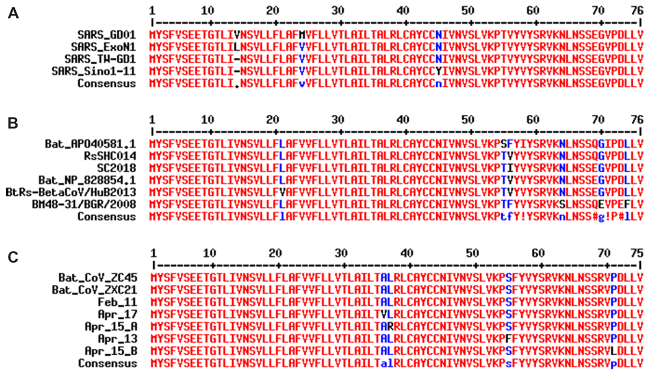 1600289000774.png