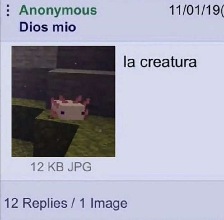 1603210442325.jpg