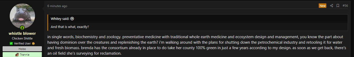 1606768074359.png