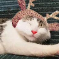 1606870803163.png
