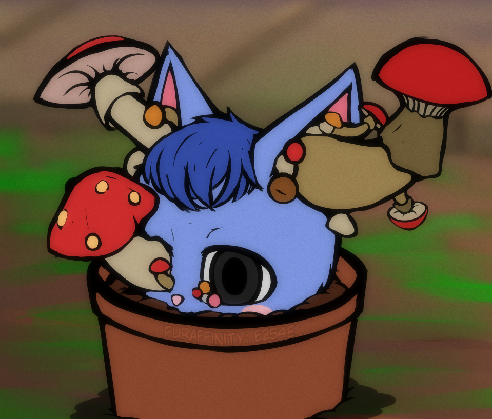 1607004145400.png