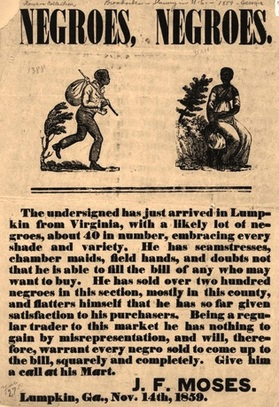 1615657520029.png