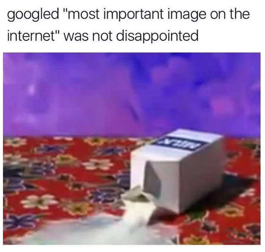 1618750862289.jpeg