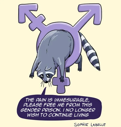 1618858709950.png