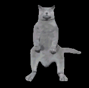 1622100788846.gif