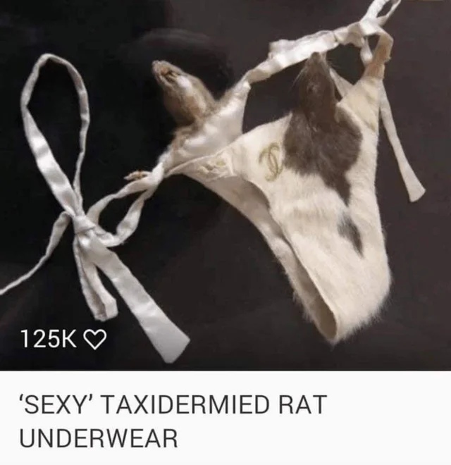 1622666305876.jpg