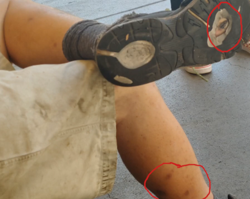 1625347898061.png
