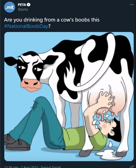 1628008319673.png