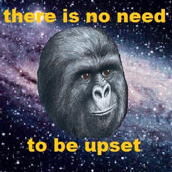 1629195213427.png
