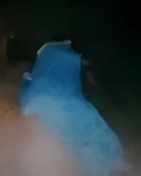 1630987436885.png