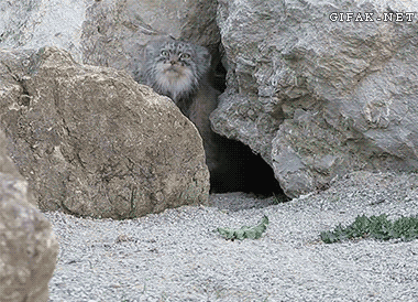 1632543812470.gif