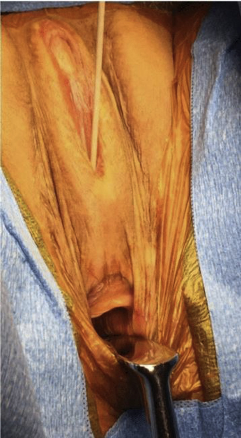 1634047739594.png