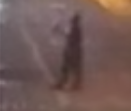 1636667278311.png