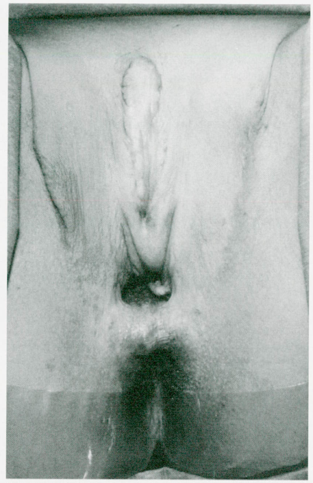 1640990878004.png