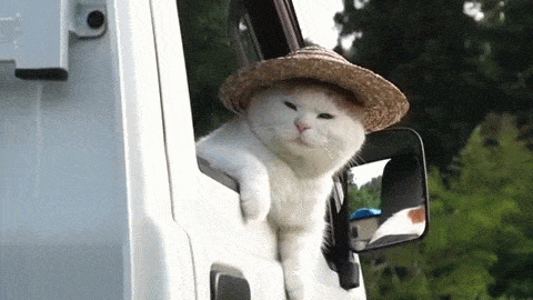 1644644440842.gif