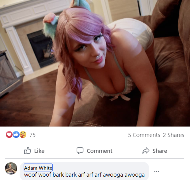 1645884315642_1.png