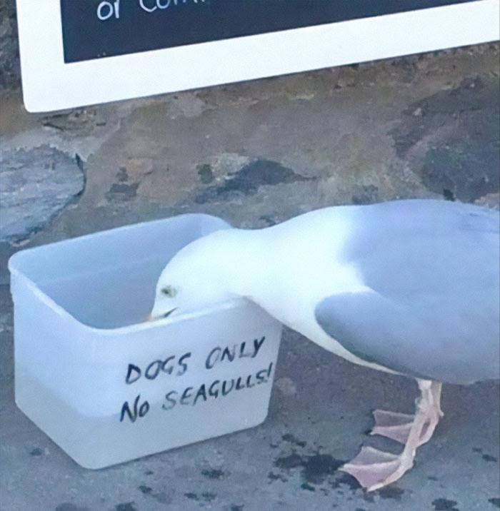 1649398608122.png