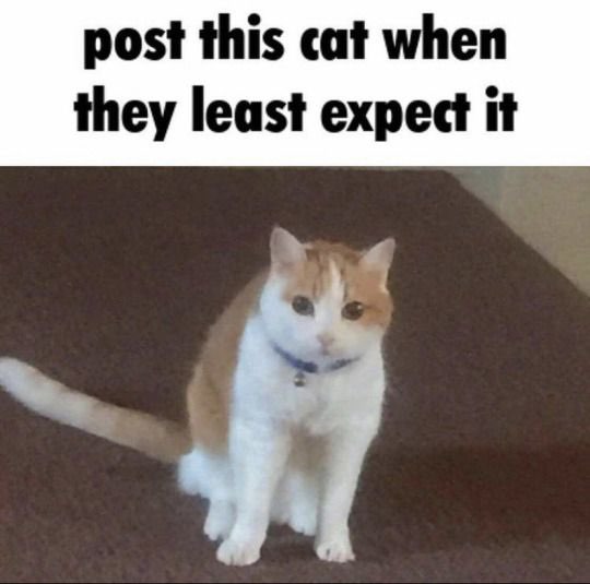 1651279022924.jpg