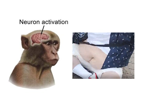 1653500320669.png