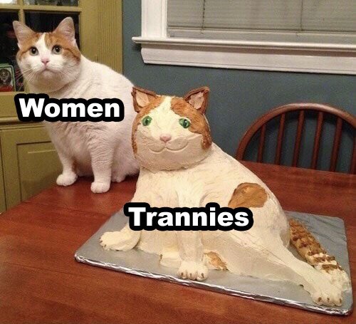 1657546987289.jpg