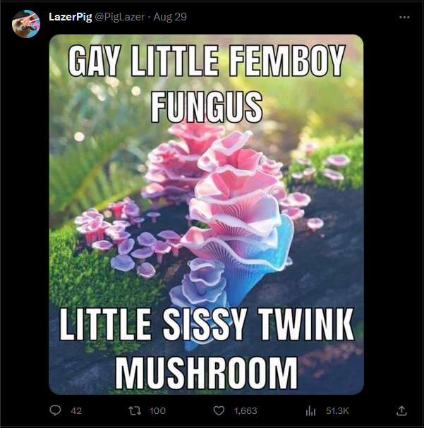 1693602667299.png