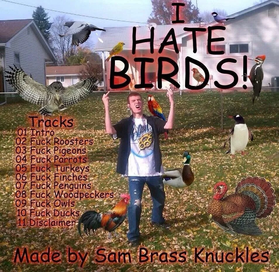 1699006860894.png